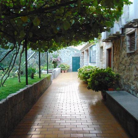 Villa Jelka Apartment Zaton  Kültér fotó