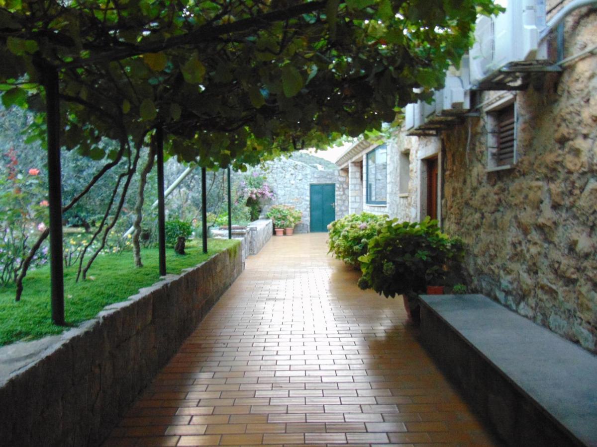 Villa Jelka Apartment Zaton  Kültér fotó